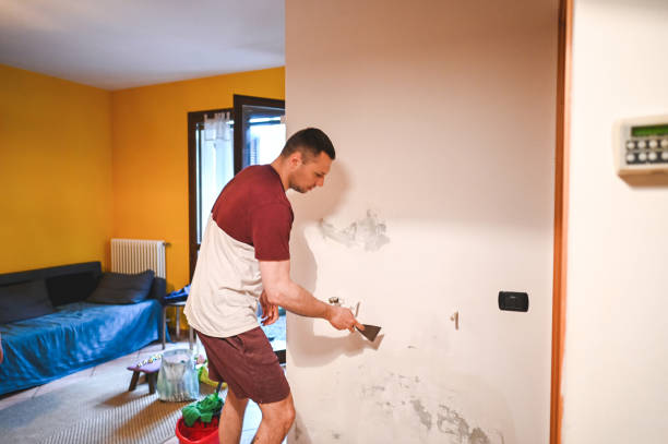 Best Residential Mold Removal  in Summer Set, MO